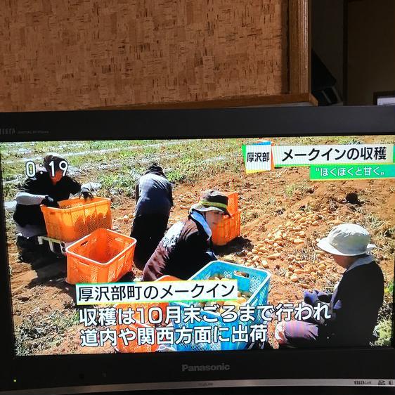 ＜訳あり＞ 野菜 じゃがいも 訳ありお得！北海道厚沢部町産メークイン10キログラム 産地直送