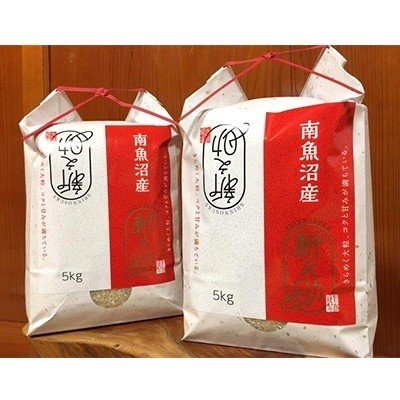 ふるさと納税 南魚沼市 南魚沼産新之助　桑原農産のお米　5kg×2