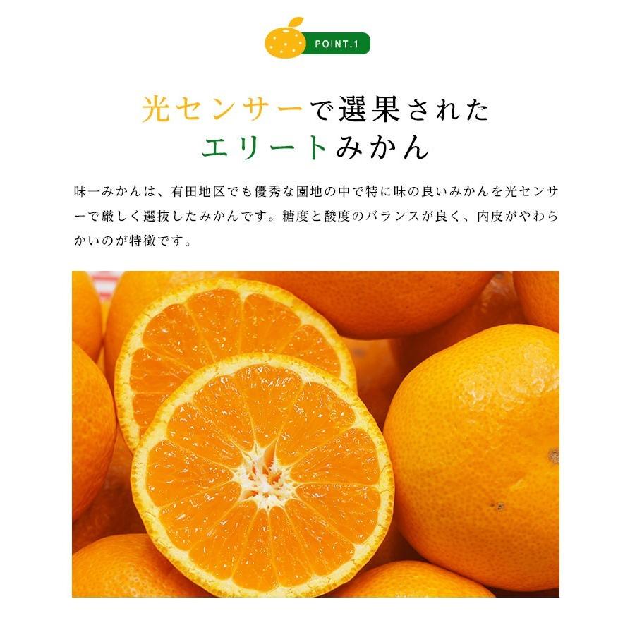 送料無料 和歌山県産 有田 味一みかん Sサイズ 約2.5kg 小玉 糖度 小粒 みかん 送料無料