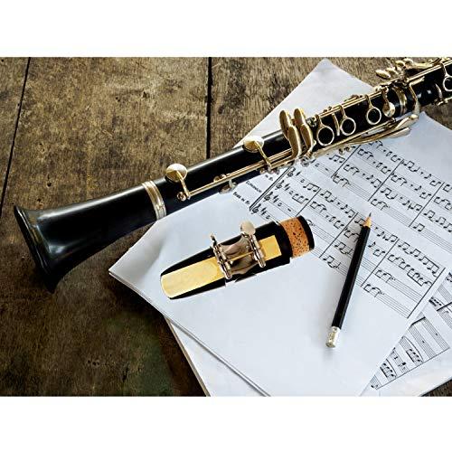 Suewio Bb Clarinet Traditional Reeds, Strength 2.5, 10 Pack with Portable C