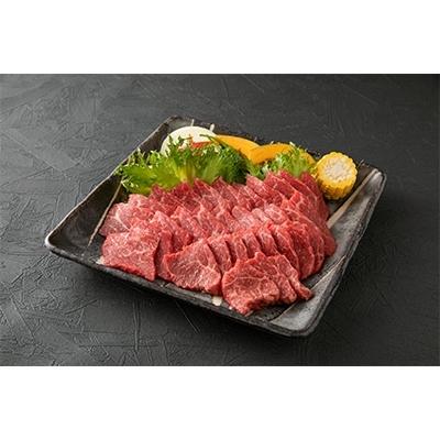 ふるさと納税 山都町 肥後の赤牛　焼肉用　500g(熊本県産和牛)