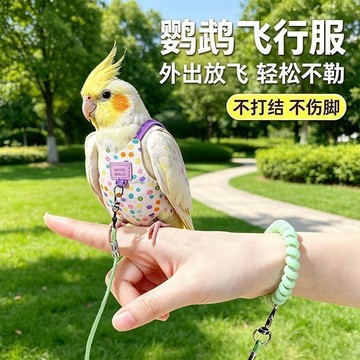 新款🧲臺灣出貨🧲鸚鵡飛行服紙尿褲心形暗釦可調節輕薄透氣可水洗鳥用屎尿便兜尿褲