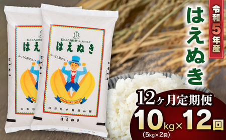 新米 山形県庄内産 はえぬき10kg（5kg×2） 鶴岡米穀商業協同組合