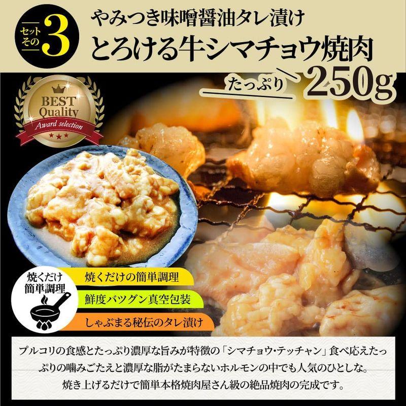 5種の焼肉達人セット