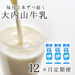 大内山牛乳の定期便　1L×3本を12か月連続でお届け！