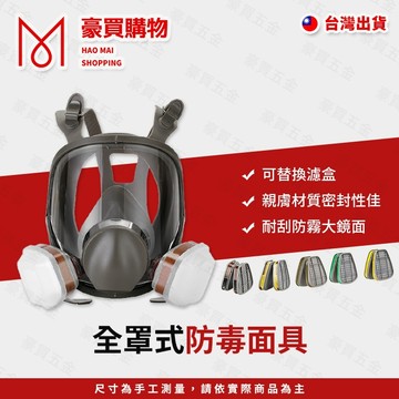 【TW現貨🔥七件組】全罩式防毒面具 防毒面罩 防毒口罩 噴漆口罩 雙口型防毒面具 噴漆 打磨 拋光 防塵 防灰 非3M