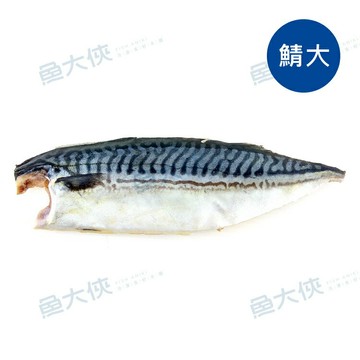 信揚-薄鹽挪威鯖魚片-鯖大(200~240g/片)-1D1B【魚大俠】FH156