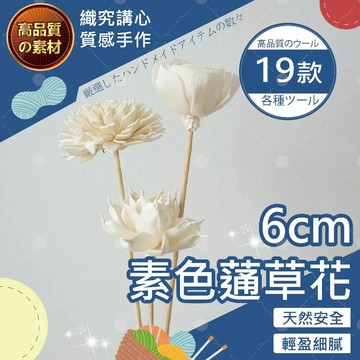 【隔日送達🚀】6 cm素色蓪草花 蓪草 索拉花 人造花 擬真花 仿真花 乾燥花 不凋花 蓪草花 拍攝道具 索拉