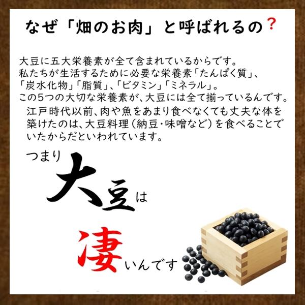 北海道産 素焼き 黒大豆500g 無添加・ノンフライ・塩不使用 畑のお肉