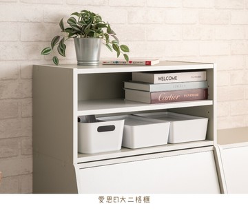 tzumii艾莉絲加大二格櫃/空櫃/書櫃/收納櫃-三色可選