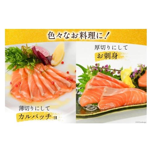 ふるさと納税 宮城県 気仙沼市 ノルウェー産 アトランティックサーモン 総重量800g(正味重量680g) [カネダイ 宮城県 気仙沼市 20562809] 魚 魚介類 サーモン …