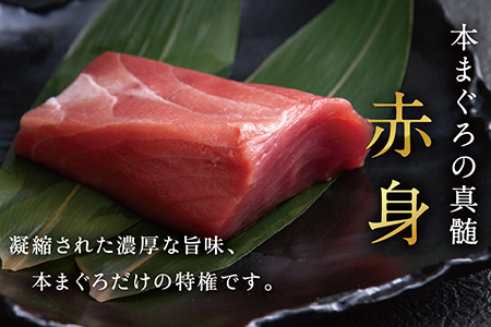 絶品！生本マグロ　赤身 750g（柵どり）