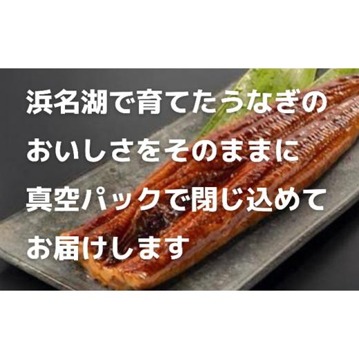 ふるさと納税 静岡県 湖西市 うなぎ蒲焼き（真空パック）×4本　タレ・山椒・お吸い物付