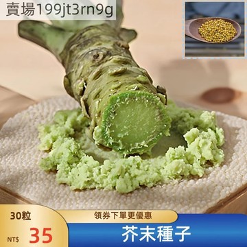 🥬【芥末種子】🥬山葵種子 四季陽台庭院盆栽種植  山秋葵種子辣根種子 驅寒辣菜高產優質蔬菜種子 料理神器