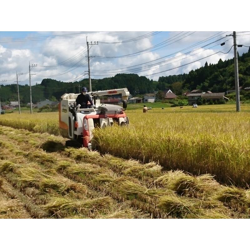 新米コシヒカリ精米12kg(2kg×6) 令和5年 神石高原町産 粘りと甘さのバランスが絶妙！