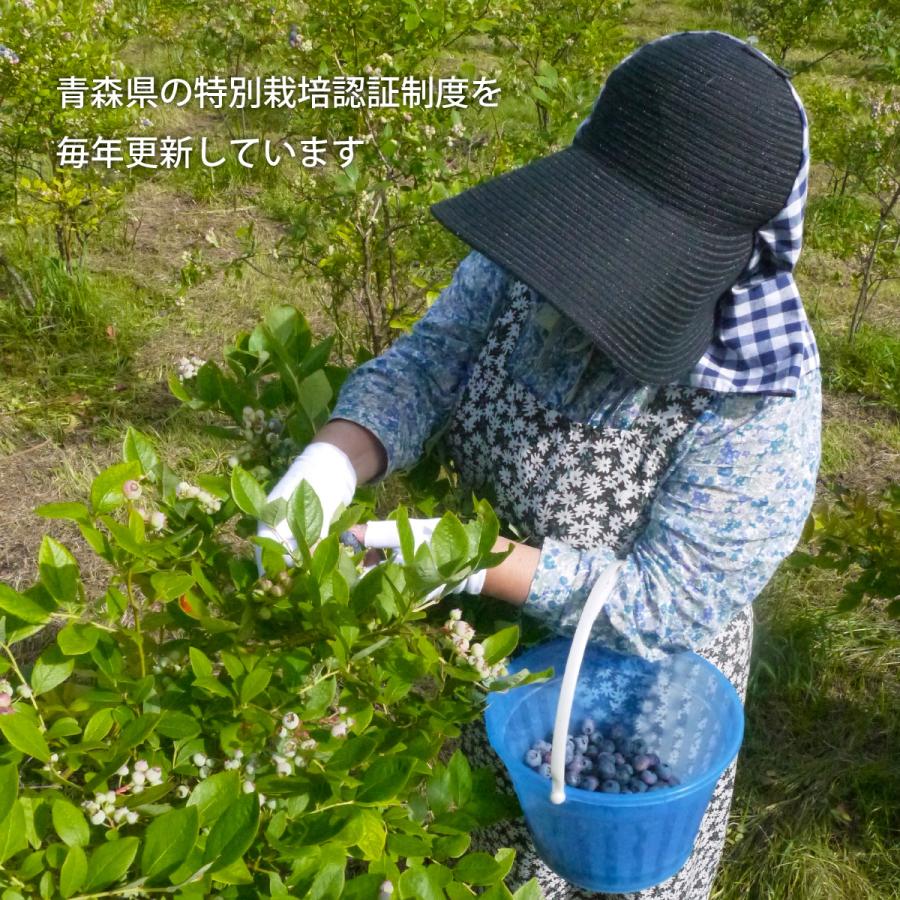 （冷凍）青森県産冷凍ブルーベリー果実（農薬・化学肥料不使用 特別栽培）※サイズ混合約2kg　国産　2023年新物