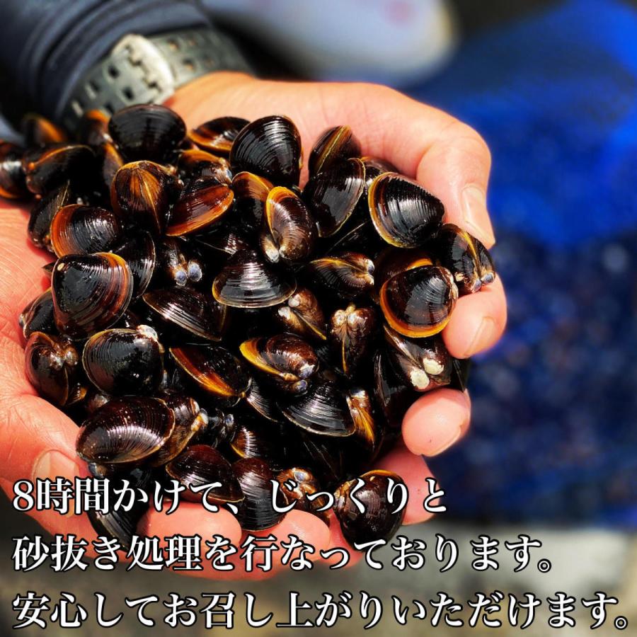 しじみ 冷凍しじみ シジミ Mサイズ 1kg 200g×5パック 島根県 宍道湖産 国産 砂抜き処理済 お取り寄せ 産地直送しじみ出汁すまし汁 レシピ付 送料無料