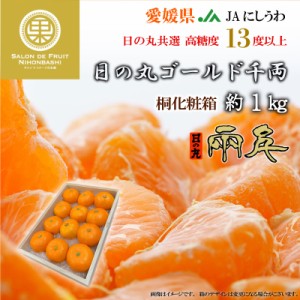 [予約 2023年 11月15日-12月15日の納品] ゴールド千両 日の丸みかん SMLサイズ 約1kg 桐箱 愛媛県 西宇和 高品位 冬ギフト お歳暮 御歳