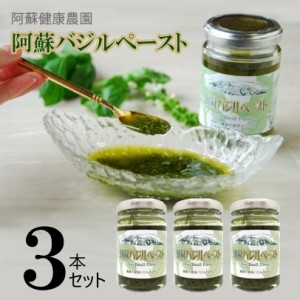 九州熊本の逸品 阿蘇バジルペースト100ｇ×3個セット無農薬バジル 阿蘇健康農園