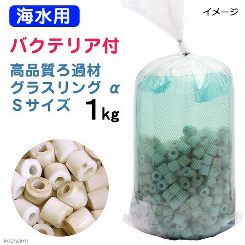 海水魚 ろ材 海水用 バクテリア付き ライブろ材 グラスリング A アルファ ｓサイズ １ｋｇ 北海道航空便要保温 通販 Lineポイント最大0 5 Get Lineショッピング