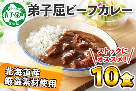 507.ビーフカレー 10個 セット 中辛 牛肉 業務用 レトルトカレー 野菜