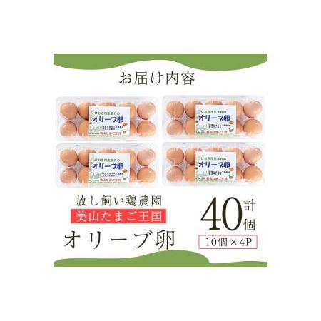 ふるさと納税 No.780 鹿児島県産美山オリーブ卵(計40個・10個入×4P) 鹿児島県日置市