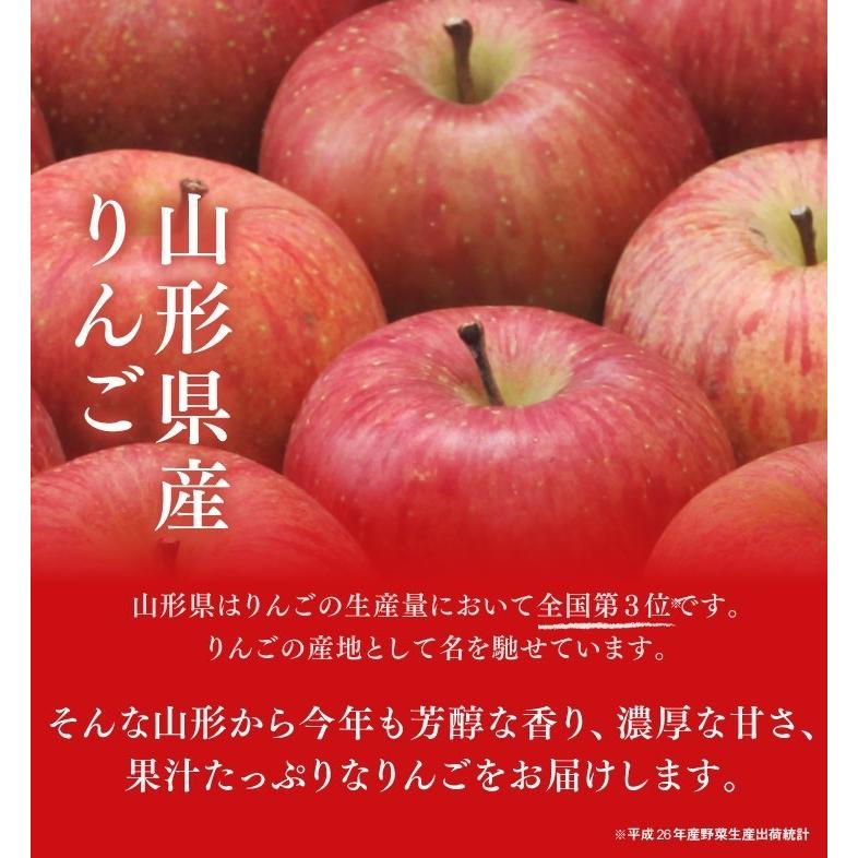 お歳暮 秀品 りんご シナノゴールド リンゴ 約3kg 山形県産 林檎 山形 送料無料(一部地域別途送料)