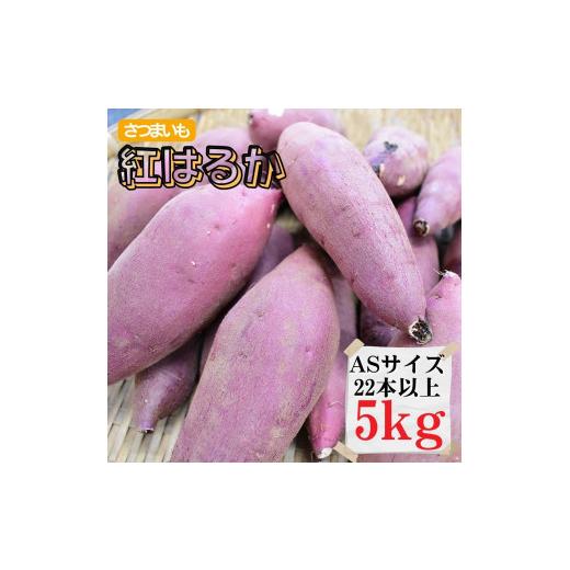 ふるさと納税 茨城県 鉾田市 さつまいもALサイズ5kg（12本以上）