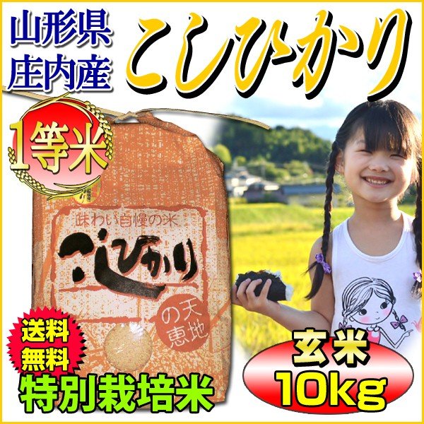 お米 コシヒカリ 玄米 10kg 山形県庄内産 一等米 特別栽培米 5kg×2袋 送料無料 令和4年産