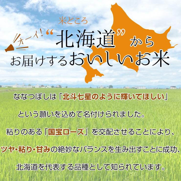 北海道産 ななつぼし 30kg（5kgｘ6個セット） 送料無料 米 国産米 精米 北海道米 ナナツボシ