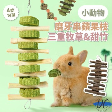 【DC寵物有發票】🐾寵物蘋果木磨牙串 甜竹 兔子 龍貓 倉鼠磨牙用品 倉鼠磨牙串 蘋果木咬串 小寵磨牙玩具 B069