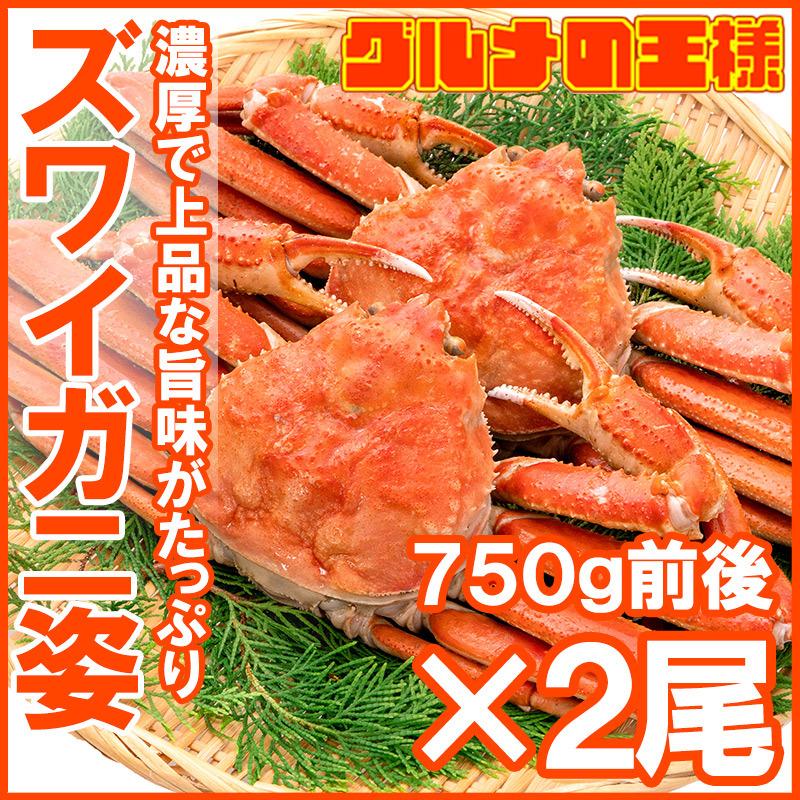 ズワイガニ 姿 1.5kg 750g前後×2尾 冷凍ゆでがに 本ズワイガニ 解凍するだけでＯＫ ボイル冷凍 ズワイ蟹 ずわいがに かに カニ 蟹 ずわい蟹 豊洲市場 かに鍋