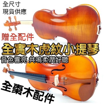 【台灣潔特力樂器】台灣現貨 立即出貨 全實木雲杉楓木虎紋小提琴 全棗木配件 全尺寸 送全配件 音樂班老師認可 學校社團