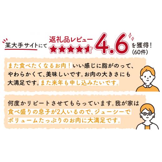 ふるさと納税 佐賀県 嬉野市  佐賀牛 ヒレ ステーキ 600g NAB079