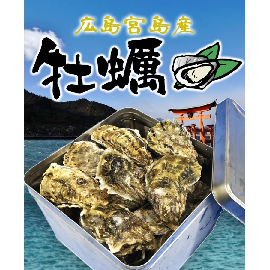 広島産 殻付き牡蠣 訳あり 3キロ(約30個) カンカン焼き カキ かき 宮島 BBQ ナイフ 軍手付 ギフト 取り寄せ