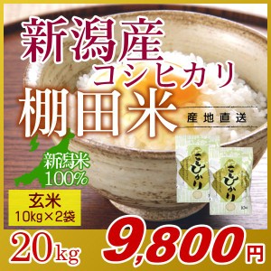 お米 20kg 玄米 棚田米 新潟産コシヒカリ (10kg×2袋) 令和5年産 新米   米 高級銘柄米 新潟米 ブランド米 新潟 新潟県産 国内産 人気 お