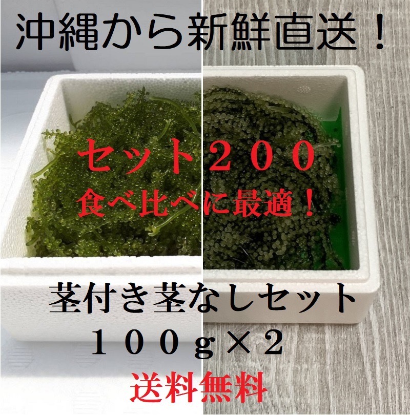 茎付き100gと茎なし100g　生！海ぶどう200gセット（タレ付き）沖縄の生産者から新鮮直送！お試しで食べ比べできます！