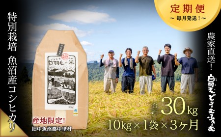 ≪令和5年産≫農家直送！魚沼産コシヒカリ特別栽培「白羽毛の米」精米(10kg×1袋)×3回 30kg