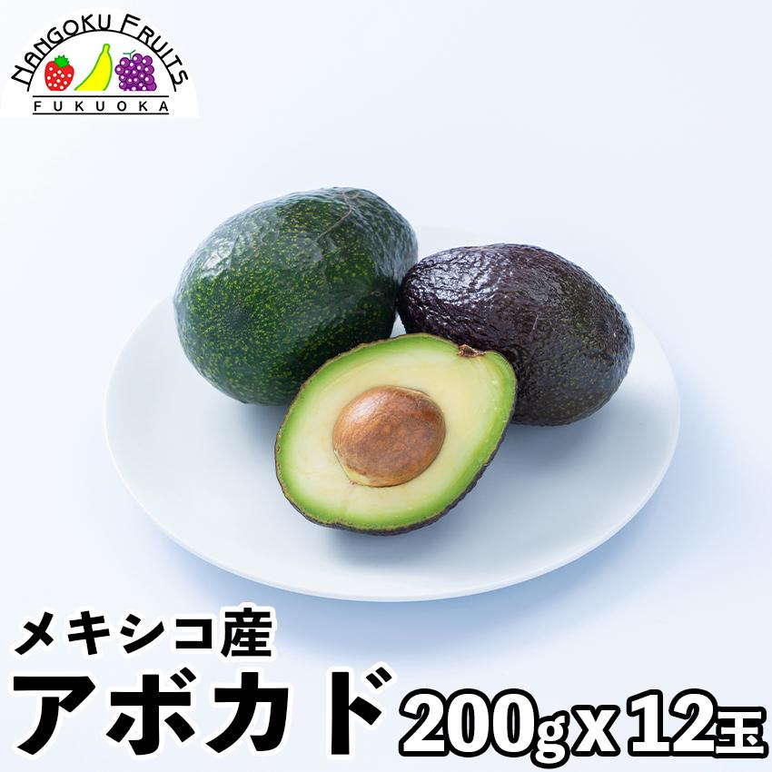 メキシコ産アボカド 12玉(200g x 12玉)