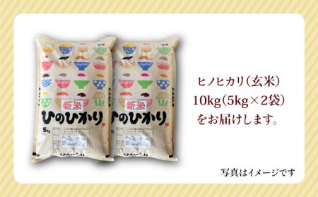 令和5年産 新米 ヒノヒカリ 玄米 10kg（5kg×2）[HAP014]