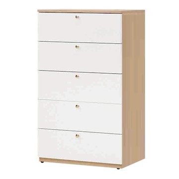 文創集 愛坦斯雙色2.5尺五抽斗櫃-76x40x122cm免組