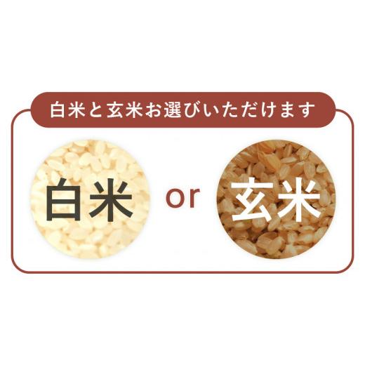 ふるさと納税 福井県 坂井市 定期便 ≪6ヶ月連続お届け≫ 受賞歴多数！福井県 坂井町産 特別栽培米あきさかり 5kg (白米) [C-4803_01]