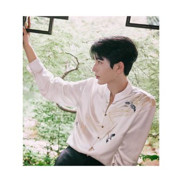 張凌赫同款新中式立領男襯衫長袖飛鶴蘇繡刺繡高級感國風男上衣潮