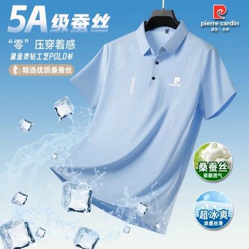 皮爾卡丹桑蠶絲短袖T恤男士2025夏季高檔冰絲半袖翻領Polo衫男裝