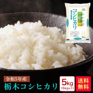 米 5kg 送料無料 令和5年産 栃木コシヒカリ5kg