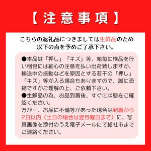 ふるさと納税 ぶどう「マスカットオブアレキサンドリア」　岡山県総社市産24-020-005 岡山県総社市