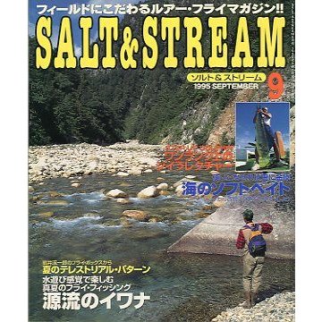 SALTSTREAM（ソルト＆ストリーム）　１９９５年９月号　　＜送料無料＞