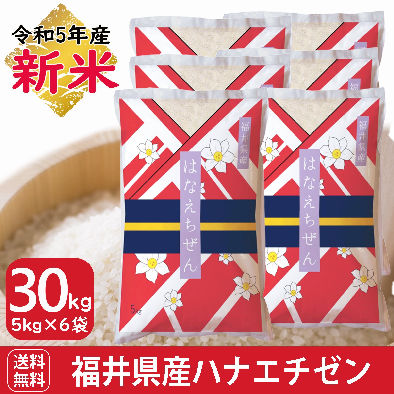 新米 福井県産ハナエチゼン30kg(5kg6袋)　白米 令和5年産