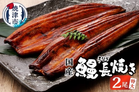 a18-042　鰻 長焼き 2尾 セット