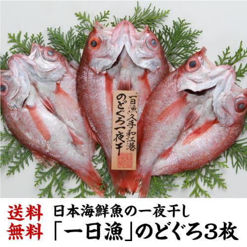 送料無料 (一日漁)のどぐろ 一夜干し 3枚 約660g のどくろ あかむつ 干物 ひもの 焼魚 家呑み 肴 高級魚 贈り物 ギフト冷凍 島根 岡富 (産直)